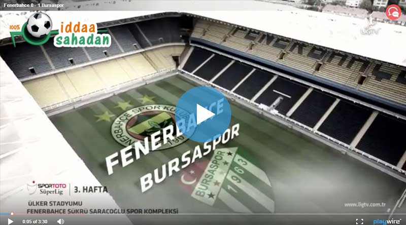 Fenerbahçe Bursaspor Maçı Özeti