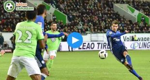 Wolfsburg Schalke Özet