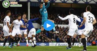 Swansea City Everton Özet