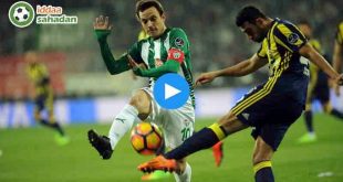 Fenerbahçe Bursaspor Özet