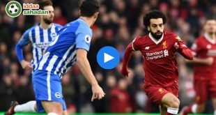 Liverpool Brighton Özet