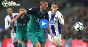 Brighton Tottenham Özet