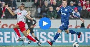 Köln Schalke 04 Özet