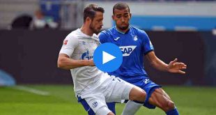 Hoffenheim Schalke 04 Özet