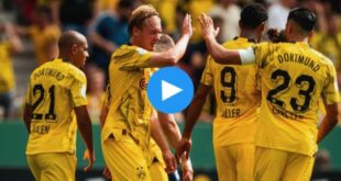 Schott Mainz Borussia Dortmund Özet