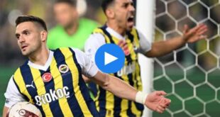 Fenerbahçe Alanyaspor Özeti